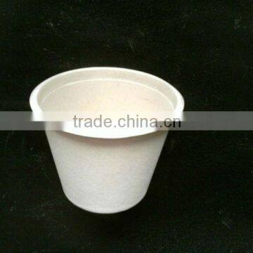 High Quality Disposable Paper Cups photo-4
