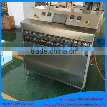 Shaped Pouch Filling and Sealing Machine for Grape Juice photo-4