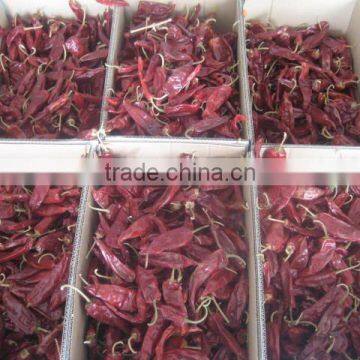 Dried Chili