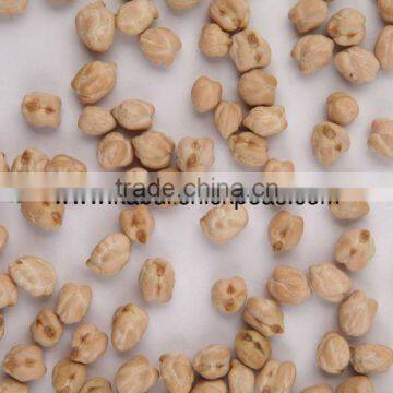 Protein Chickpeas Supplier photo-4