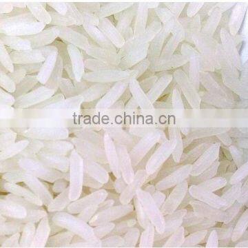 Fresh IR 8 Short Grain Rice