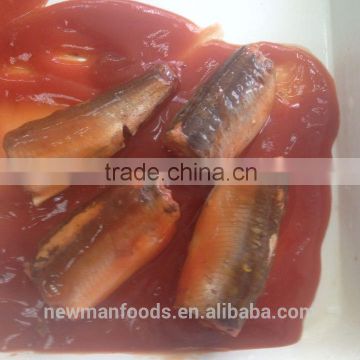 All type of canned sardine fish in tomato sauce