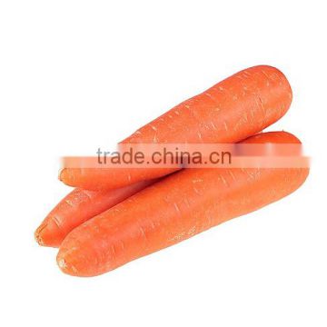 China carrot harvester factory in Shandong to export