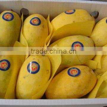 Pakistan Mango - Sindhri / Chaunsa