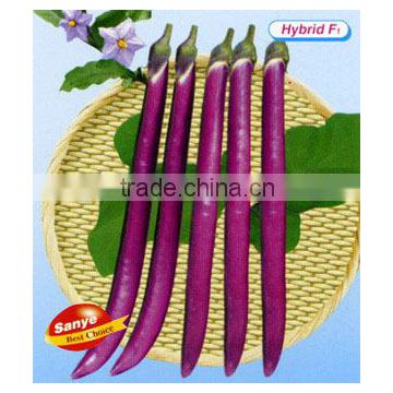 Hybrid Long Purple Red Eggplant Seeds-Hangzhou No.1