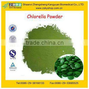 Manufacture Supply High Quality Chlorella Algae Powder