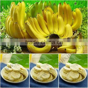 new arrival dry fruit slicer FD banaba price per KG