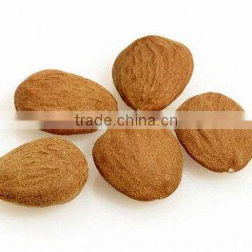 Spanish Marcona Almond