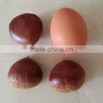 2015 New Crop Organic Fresh Chestnuts