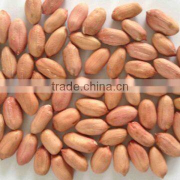 new Peanut kernels