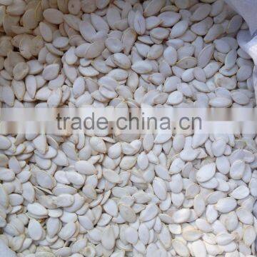Pumkin Seed Kernels Shine Skine-grade AA photo-4
