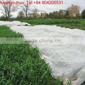 PP spunbond non-woven fabric for agriculture cover 70gsm