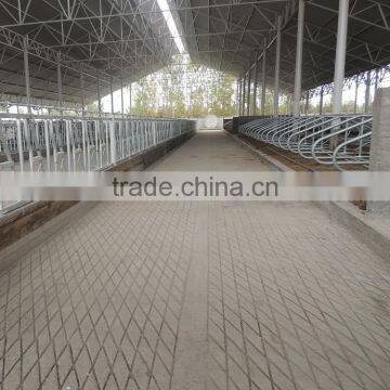 Dairy Cow Farm Equipment Cow Free Stall