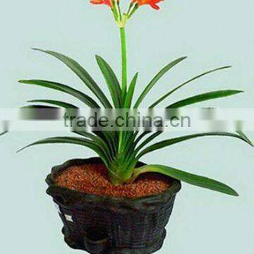 home garden potting soil direct sale