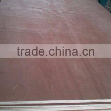 Packing Grade Laminated 18mm Eucalyptus Plywood photo-6