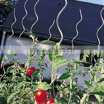 2017 New Design Tomato Spiral Plant Support/tomato Spiral/spiral Tomato Stake photo-3