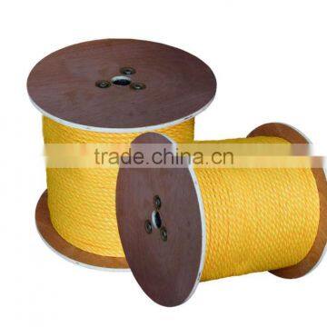 PE monopilament twisted rope/ PE rope for promotion