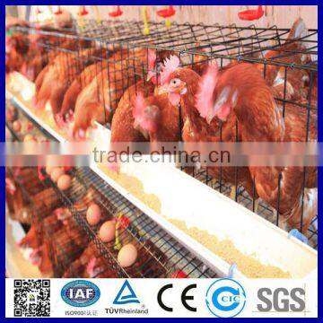 Layer chicken battery cage