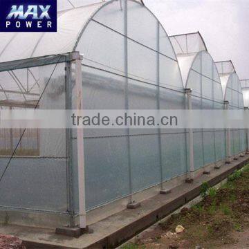 Hot selling Muti-span tunnel greenhouse film