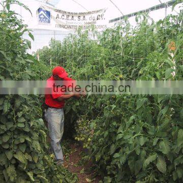 hdpe plant support net