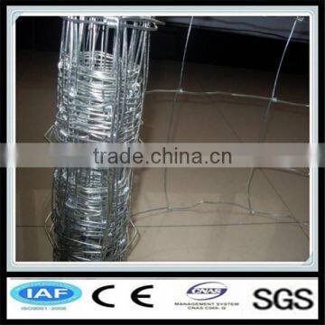 Hot Dipped Galvanized Wire Fencing Horses (factory Exporter) photo-2
