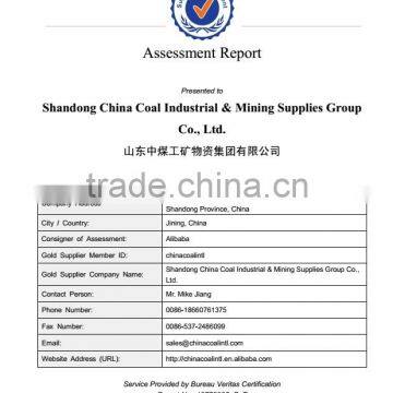 Alibaba.com Assessed Supplier