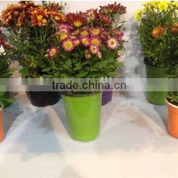 10 Pack Plastic Flower Pot Carrier / Flower Pot Carry Tray photo-4