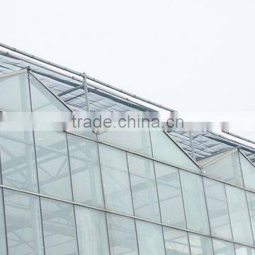 Large Used Commercial Glass Agricultural Greenhouses photo-2