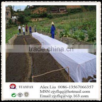 Recycle Agricultural Non-woven Fabric/Weed Barrie/plant Cover photo-3