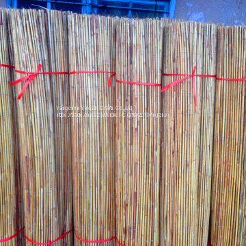 Factory Prcie White Fern Screen Fence for Garden