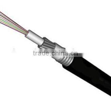 Central core tube-type optical fiber cable GYXTA