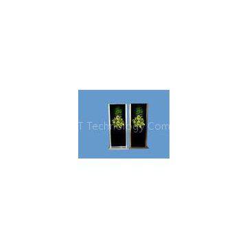 Digital Signage Advertising