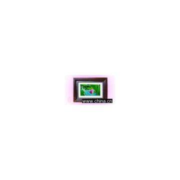 Digital Photo Frame
