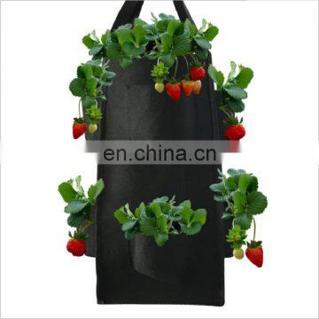 Breathable Felt Garden Grow Bags for Strawberry Growing photo-6