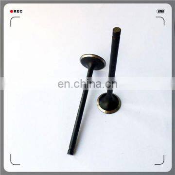 Oem 4A13-1007011 4A13-1007017 Engine Valve for 4A15 photo-5