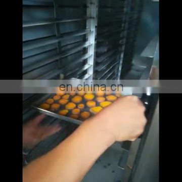 ORHGL-100 Dry Banana Oven