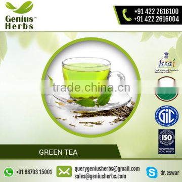 Most Popular Branded Herbal Product Green Tea at Factory Price