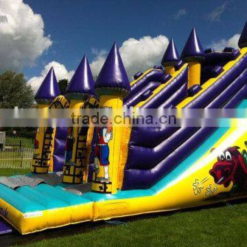 Dragons lair inflatable slide