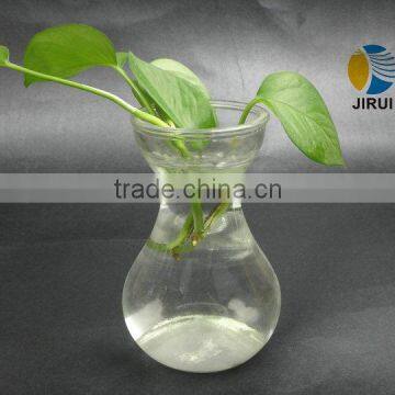 Hot Sale Glass Flower Vase, Glass Bottle For Hyacinth