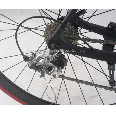 27speed 700c 19inch Carbon Fibre Road Bike