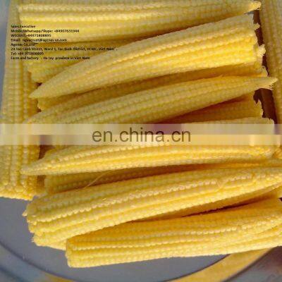 FROZEN BABY CORN YOUNG CORN NATURAL SWEET BEST QUALITY AGENAS VIETNAM NON GMO