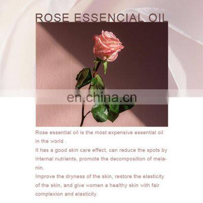 Certified Top Quality 100% Natural Skin Care Wholesale Shower Aroma Pure Bulk Rose Essential Oil photo-4