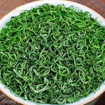 EU STANDARD CHINESE GREEN TEA 41022 5A