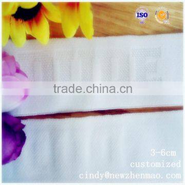 Popular Nylon Jacquard Elastic Webbing for Belt photo-5