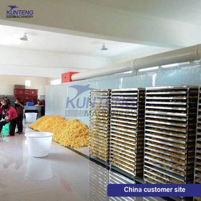 Energy-saving Vegetables Fruits Drying Processing Line photo-4