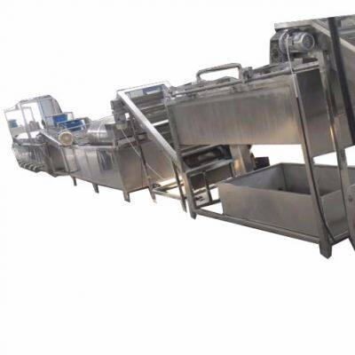 Industrial Raisin Cleaning and Sorting Line / Raisin Processing Machine
