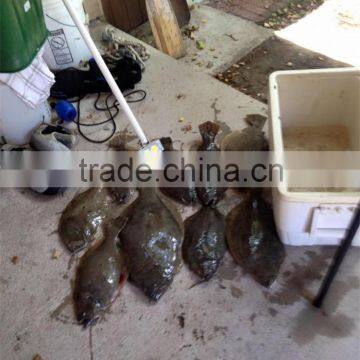 12V 30 W Led Fishing Chip Used for Led Fishing Lamp photo-2