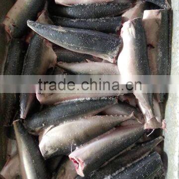 HACCP EU frozen HGT Pacific mackerel and Scomber Japonicus for canned mackerel