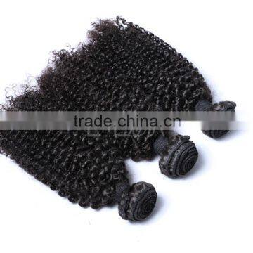 Kinky Twists Peruvian Virgin Hair, Afro Kinky Curly Human Hair Weave Supplier's Choice photo-2