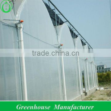 Multi-span Plastic Greenhouses Sale